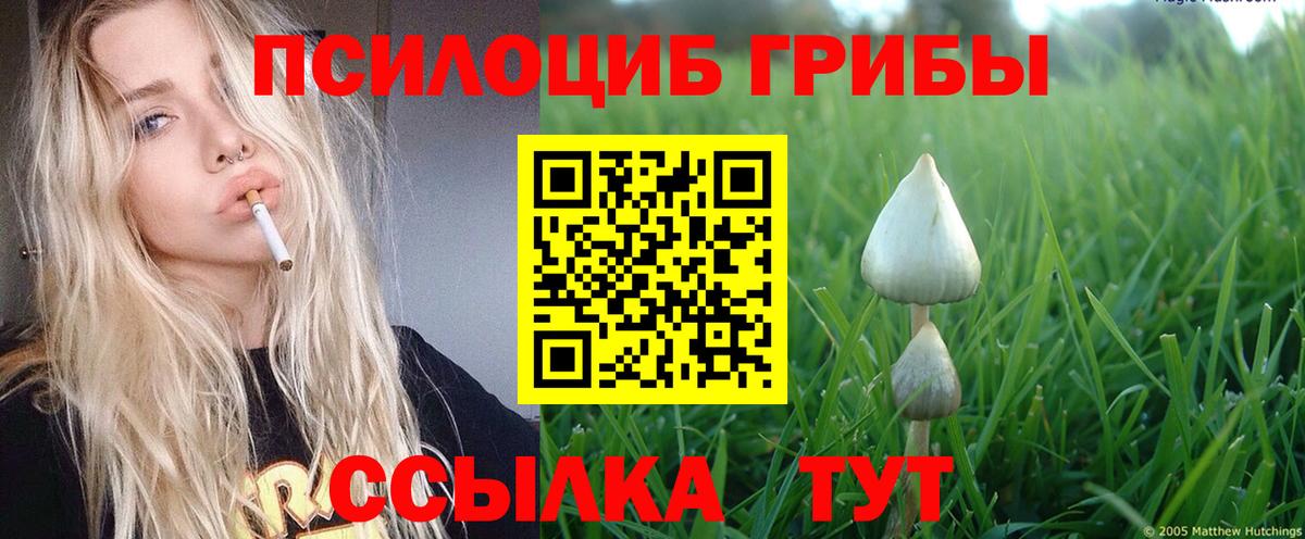 Галлюциногенные грибы мицелий  Галлюциногенные грибы мухоморы  Вход с VPN  Мичуринск 